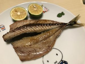 大阪湾奥で釣ったサバを干物にしたら美味すぎた話
